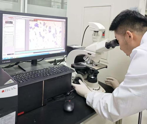 38.97億刷新紀錄！呼和浩特科創成果轉化跑出“首府速度”