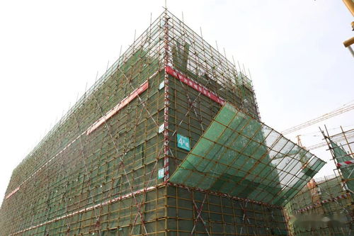 發(fā)展為要 項(xiàng)目為王 實(shí)干為先 我區(qū)召開(kāi)重點(diǎn)基礎(chǔ)設(shè)施建設(shè)項(xiàng)目觀摩總結(jié)會(huì)