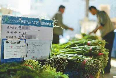 韭菜雙證制辦理流程與新鮮水果零售業(yè)務(wù)指南