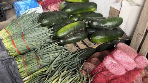 蔬菜價(jià)格高位運(yùn)行，專家預(yù)測九月上旬將回落