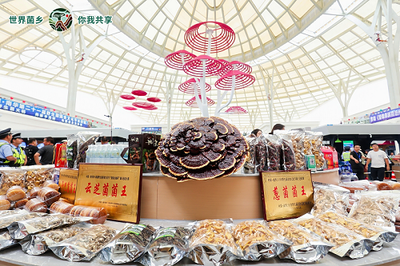 云南南華 菌旅與鮮果，邀您解鎖別樣清涼暑期