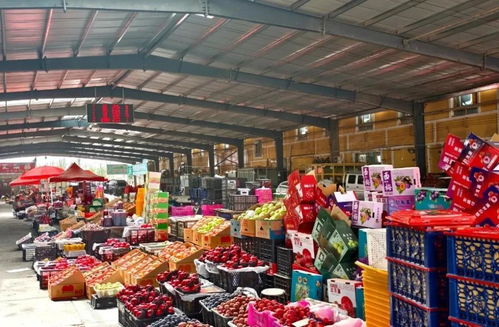 元旦市場(chǎng)供應(yīng)充足，新鮮水果喜迎佳節(jié)