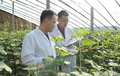 安丘百名檢測(cè)員一線把關(guān)，筑牢“舌尖安全”防護(hù)網(wǎng)